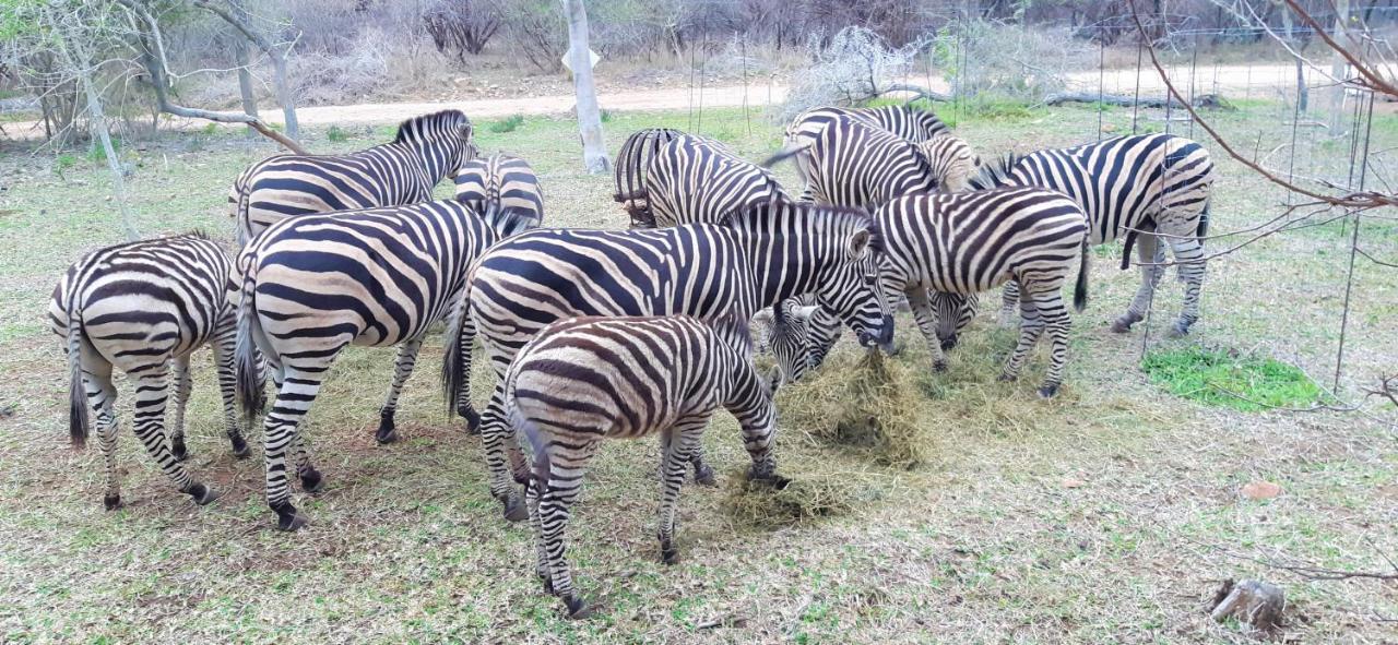 Kruger Riverside Lodge - No Load-Shedding Marloth Park Exterior photo
