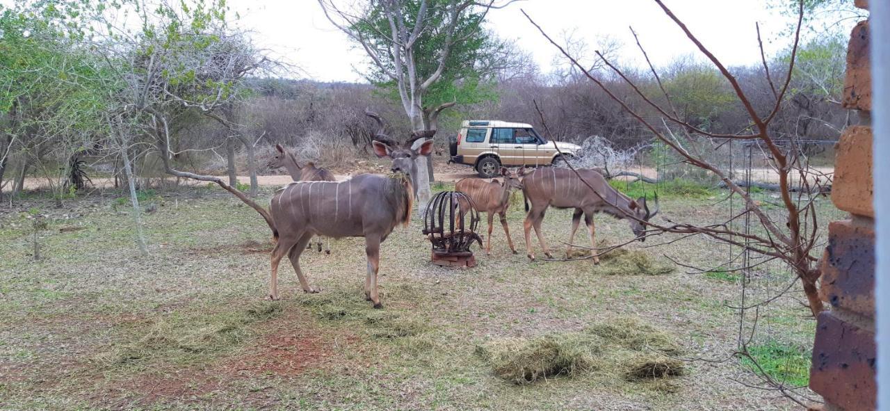 Kruger Riverside Lodge - No Load-Shedding Marloth Park Exterior photo