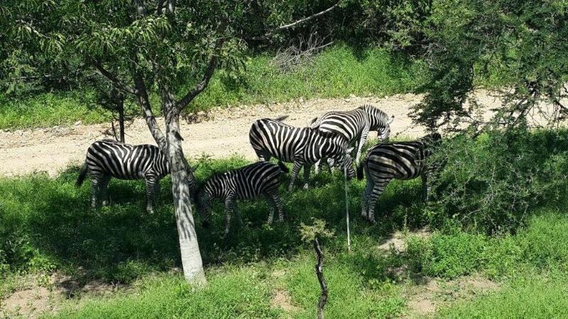 Kruger Riverside Lodge - No Load-Shedding Marloth Park Exterior photo